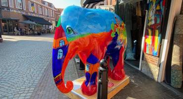 Tientallen kleurrijke olifanten zijn vanaf vandaag te bewonderen in Ootmarsum